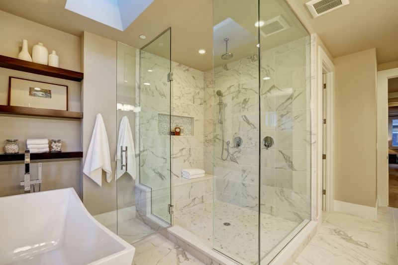 Sleek Bathroom Shower